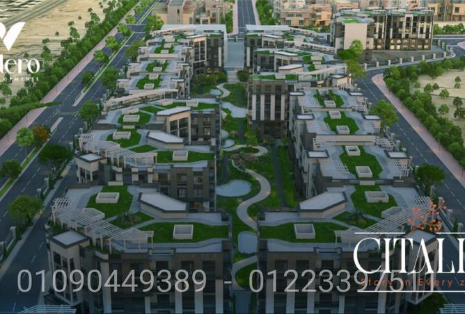75396433 - صورة العقار 2