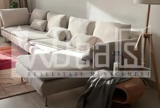 109917206 - Property Image 3