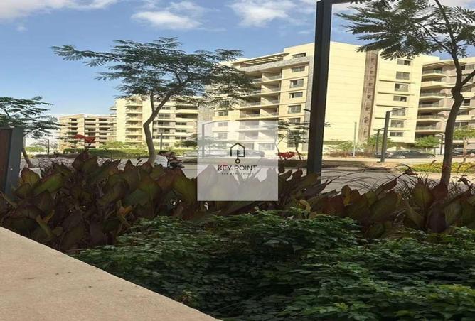 59492081 - الصورة الرئيسية للعقار