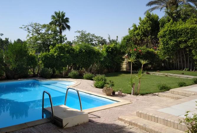 8472304 - صورة العقار 2