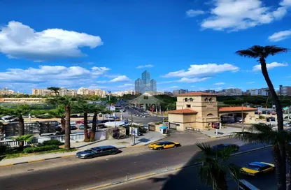 مكتب عمل جماعي - 3 غرف نوم - 3 حمامات للايجار في شارع ابو قير - سبورتنج - حي شرق - الاسكندرية