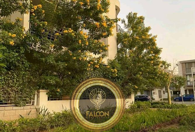 54491608 - Property Image 3