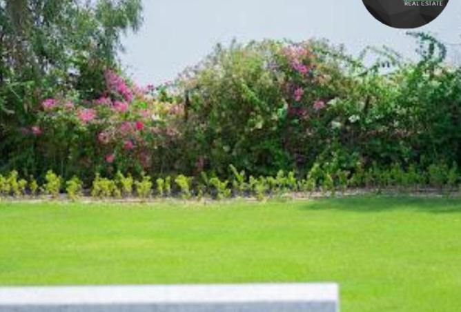 54507168 - صورة العقار 3