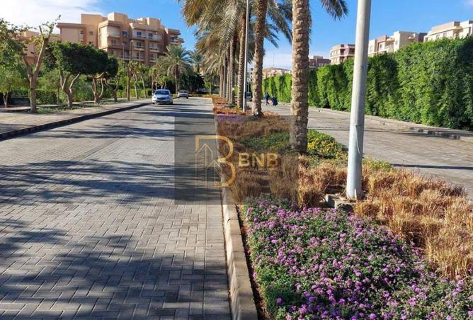 68791543 - Property Main Image