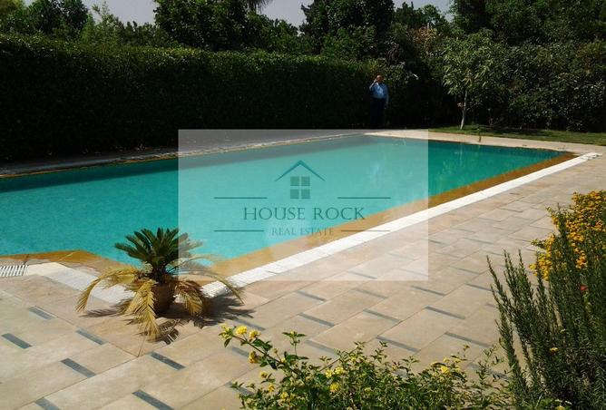 94097337 - Property Image 3