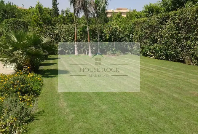 94097337 - صورة العقار 2