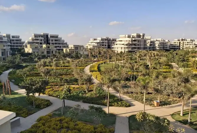 76786639 - صورة العقار 2