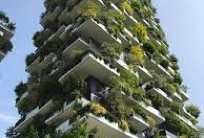 61687920 - Property Image 2