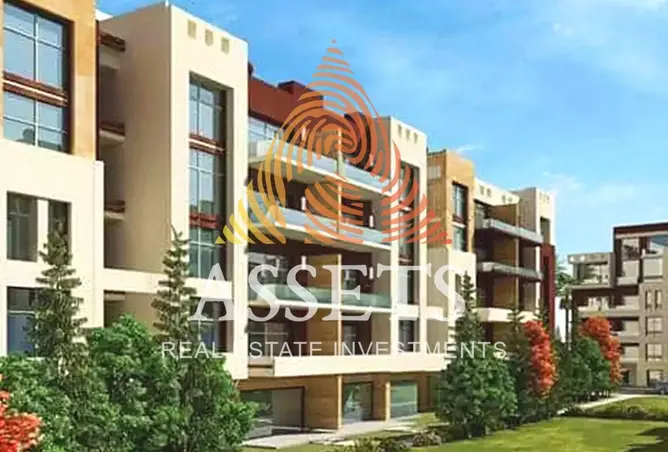 114893138 - Property Image 3