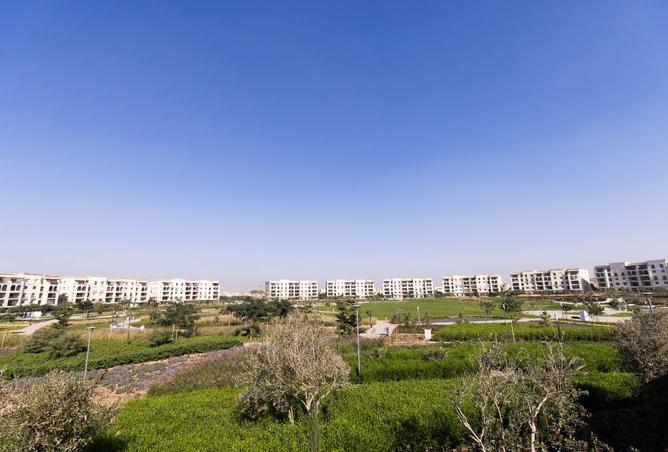 103476154 - Property Image 3
