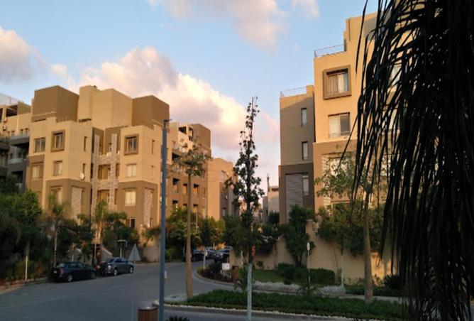 83406736 - صورة العقار 3