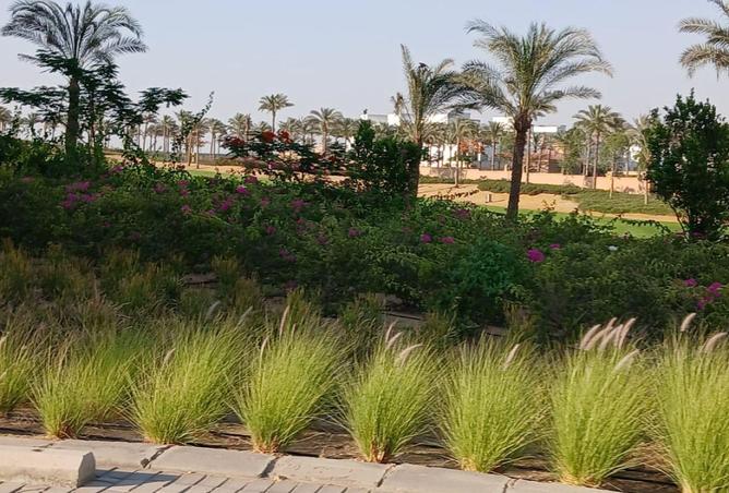 8535180 - Property Image 2