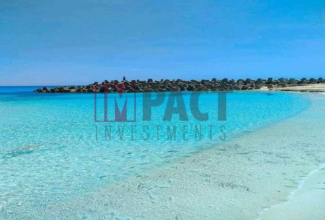 65919355 - صورة العقار 3