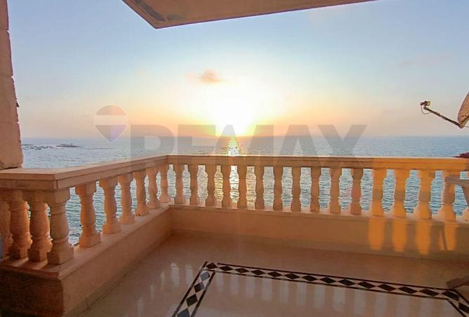 82100809 - Property Image 2