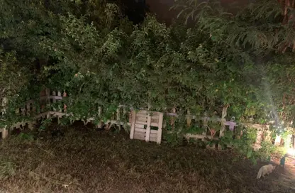 Apartment - 2 Bedrooms - 1 Bathroom for rent in El Rehab Extension - Al Rehab - New Cairo City - Cairo