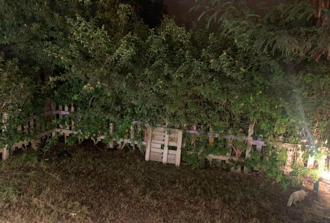 66968470 - Property Main Image