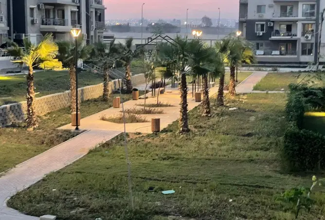 117527235 - صورة العقار 3