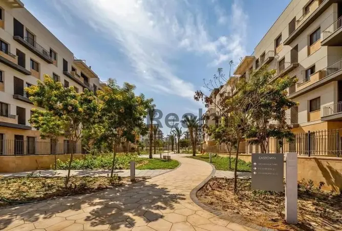 116495587 - صورة العقار 3