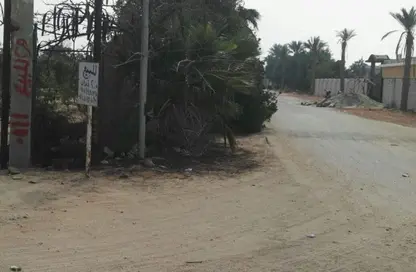 قطعة أرض - استوديو للبيع في الريف الاووبي - طريق مصر اسكندرية الصحراوي - مدينة 6 أكتوبر - الجيزة