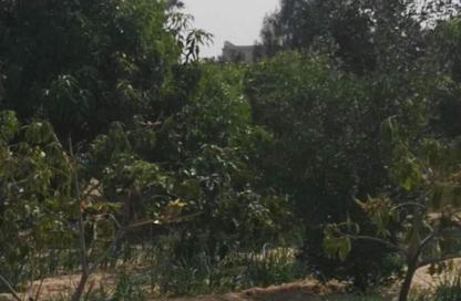 Land - Studio for sale in European Countryside - Cairo Alexandria Desert Road - 6 October City - Giza