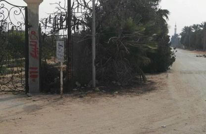 Land - Studio for sale in European Countryside - Cairo Alexandria Desert Road - 6 October City - Giza