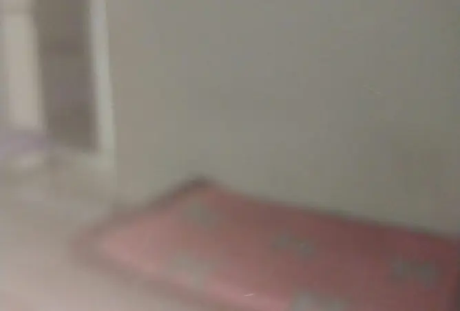 120881449 - Property Image 3