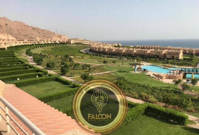 65411536 - صورة العقار 3