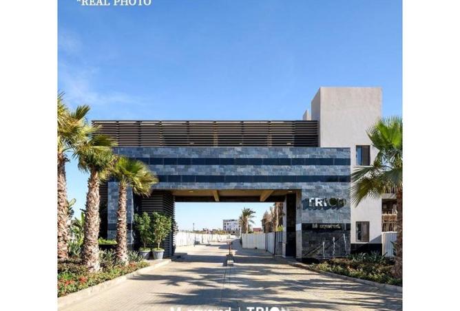 55003741 - Property Image 3