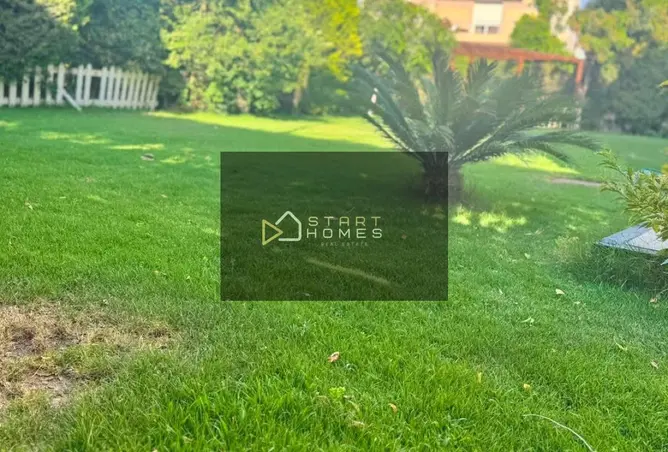 114618425 - Property Image 2