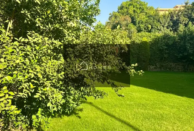 114618425 - Property Image 3