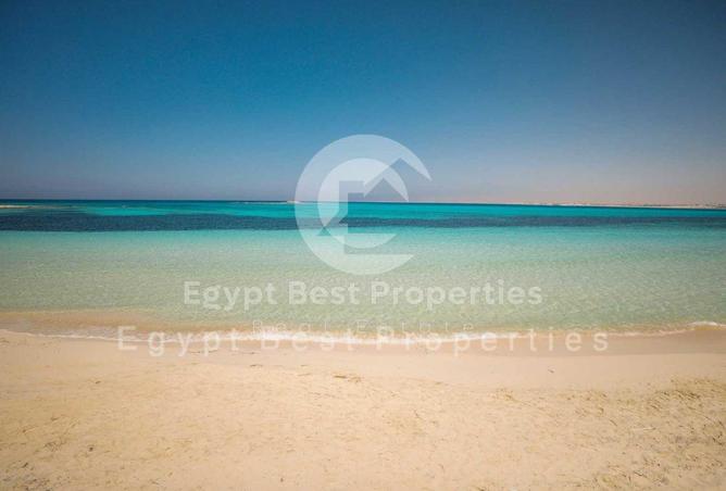 99118577 - صورة العقار 2