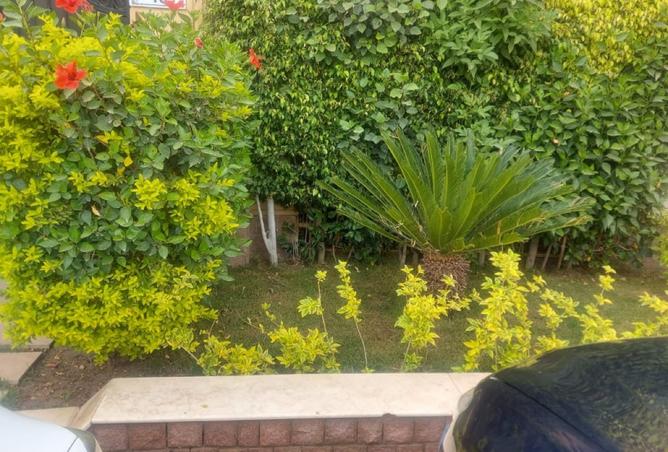 8520486 - صورة العقار 2