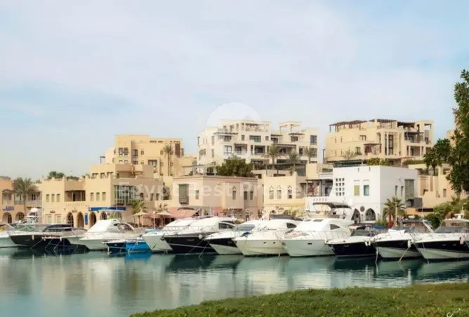 115717771 - صورة العقار 2