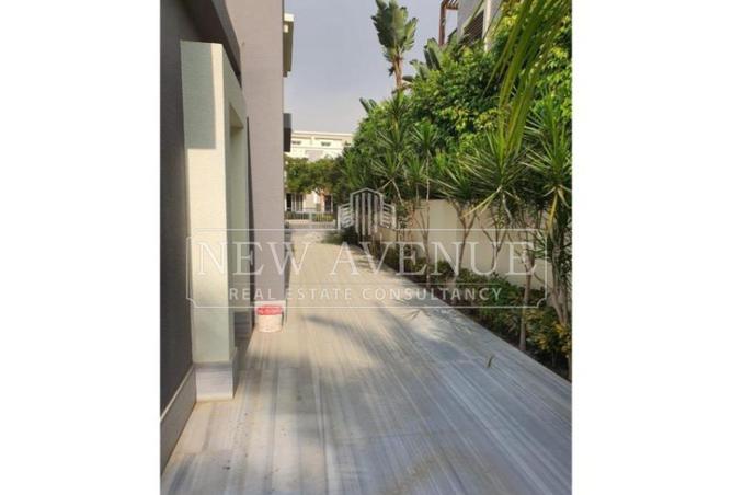97416431 - Property Image 3