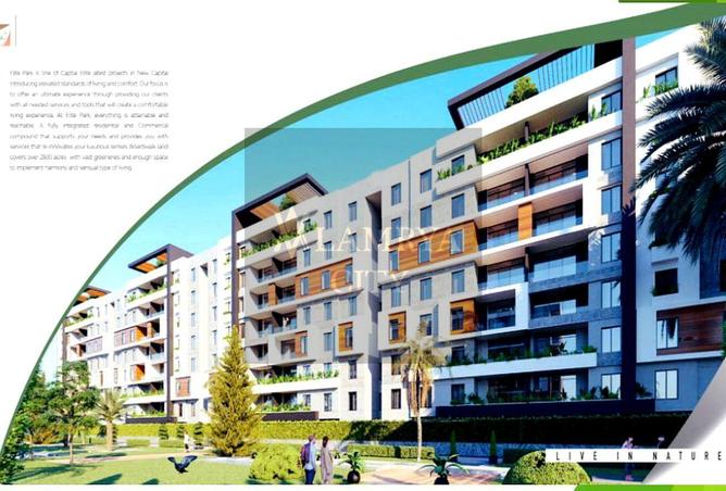 55994334 - Property Image 2