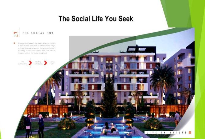 55994334 - Property Image 3