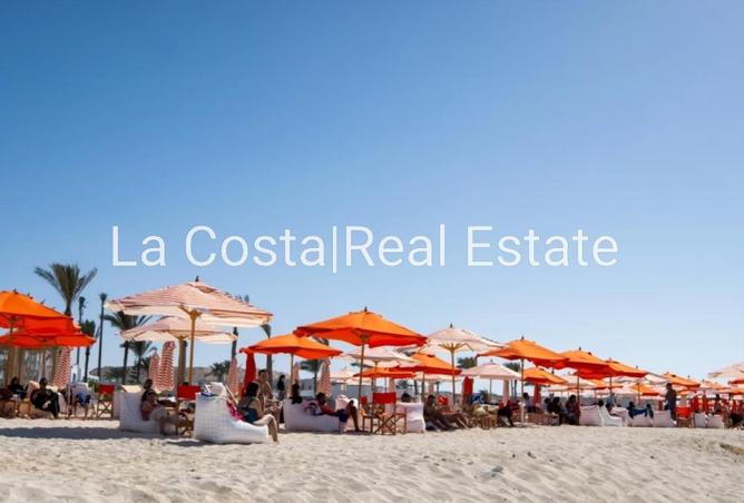 68006554 - Property Image 3