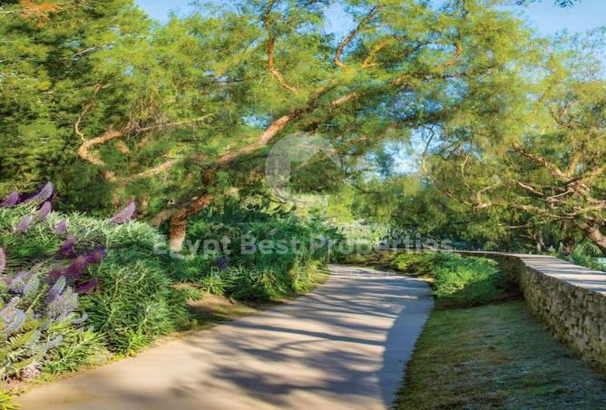 8715640 - صورة العقار 2