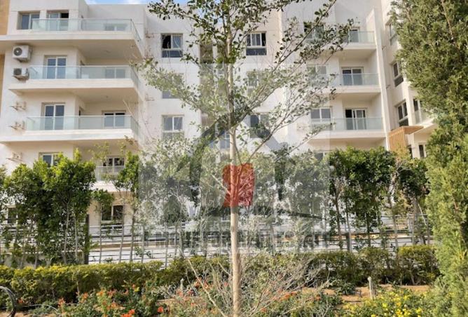 52716664 - صورة العقار 2