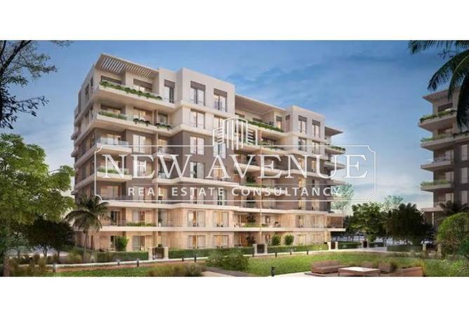 66421793 - Property Image 3