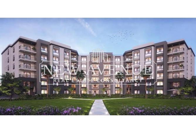 66421793 - Property Image 2