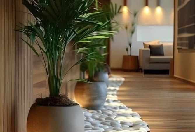 64891490 - Property Main Image