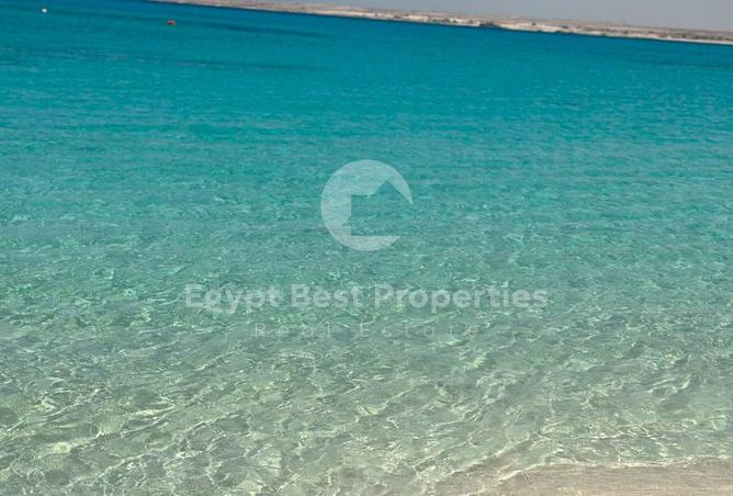 100931197 - صورة العقار 3