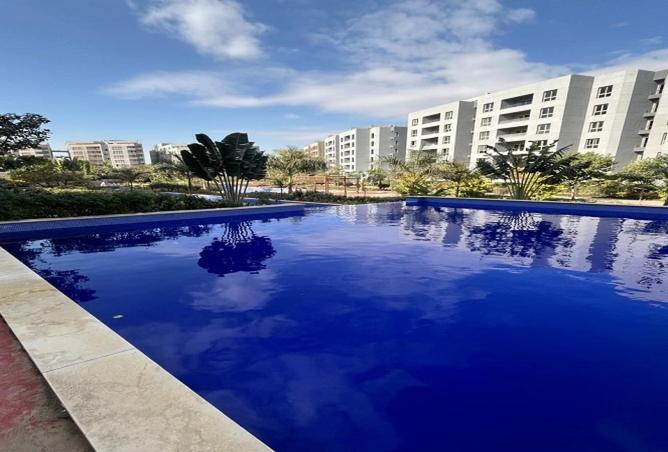 53974626 - Property Image 3