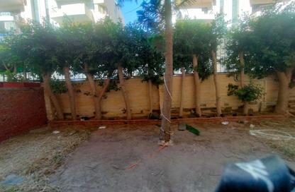 Duplex - 3 Bedrooms - 2 Bathrooms for rent in Arabeya - South Investors Area - New Cairo City - Cairo Duplex - 3 Bedrooms - 2 Bathrooms for rent in Arabeya - South Investors Area - New Cairo City - Cairo
