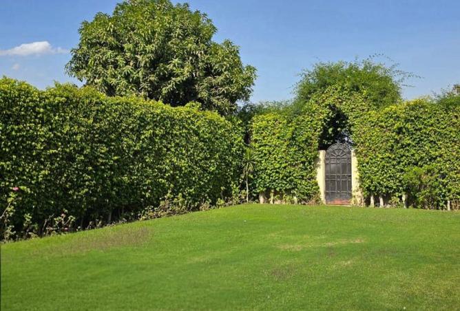 59989088 - Property Main Image