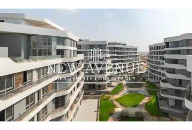 66426898 - Property Image 3