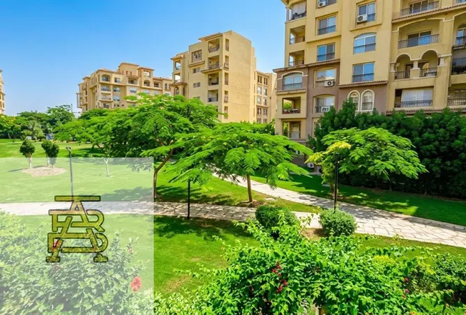 113806934 - Property Image 2