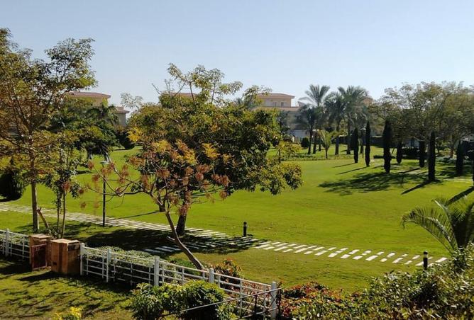 63393338 - Property Image 3