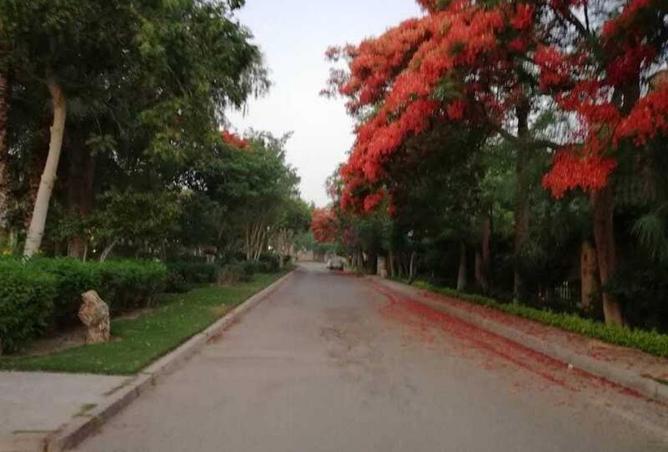 8547166 - صورة العقار 3